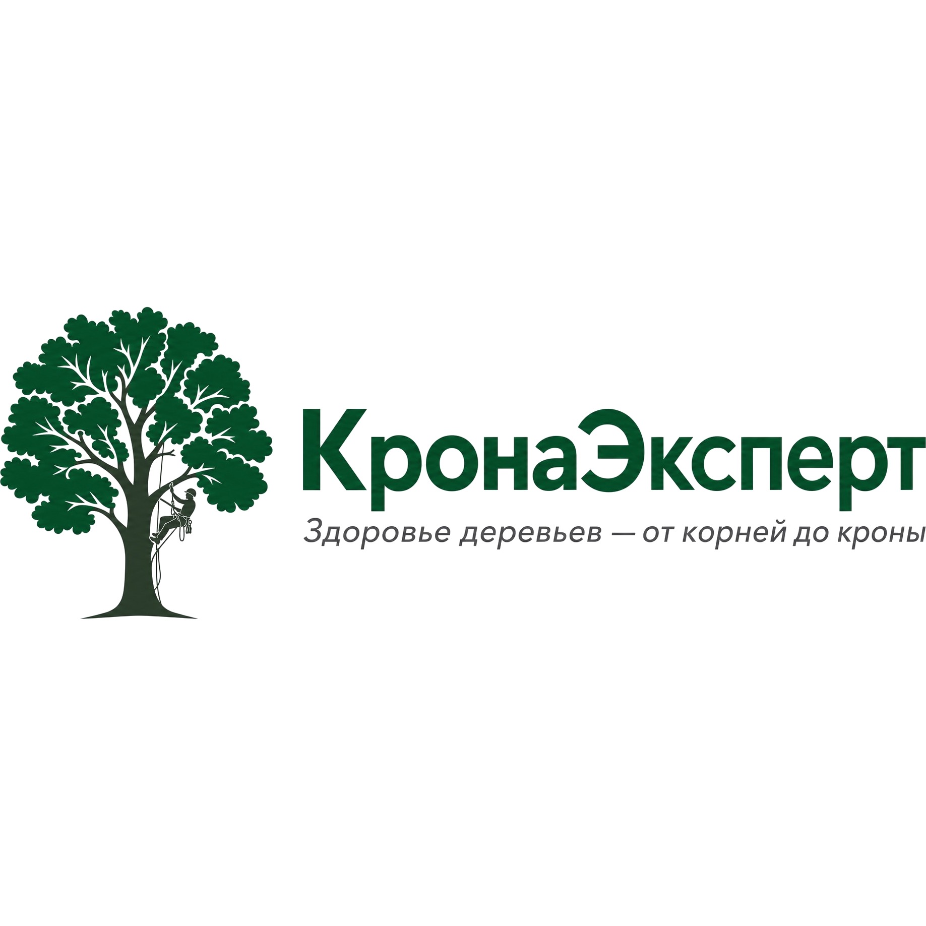 КронаЭксперт — здоровье деревьев