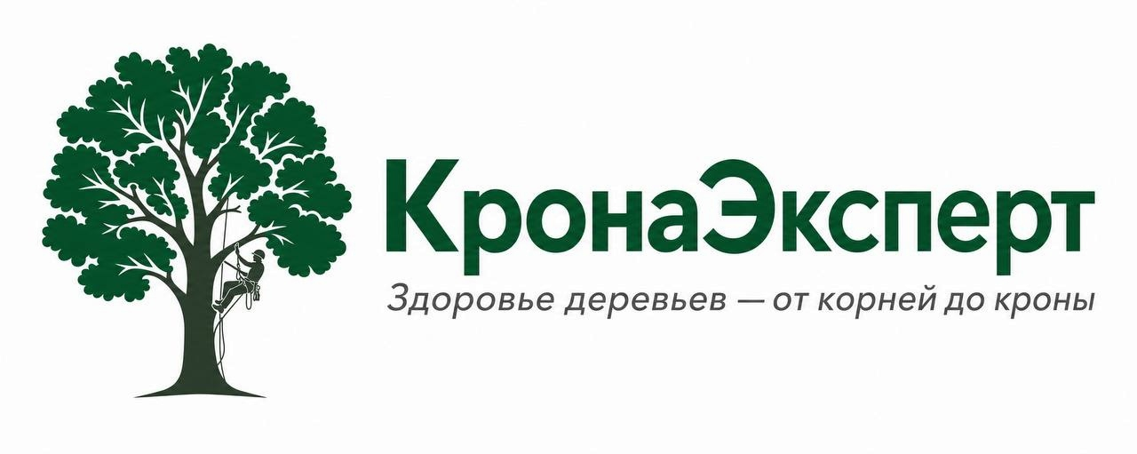 КронаЭксперт — здоровье деревьев от корней до кроны